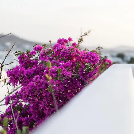 Callisti With Pool View And Calypso Upper Floor With Sea View Appartement *